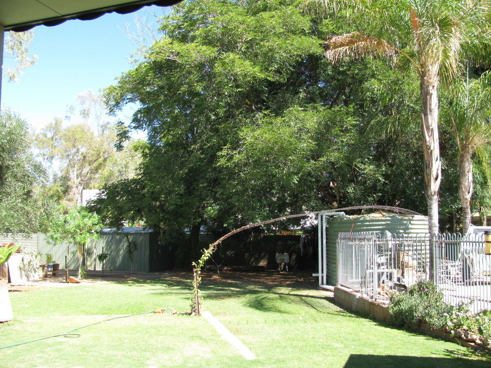 Kathys Place Bed And Breakfast Alice Springs Eksteriør billede